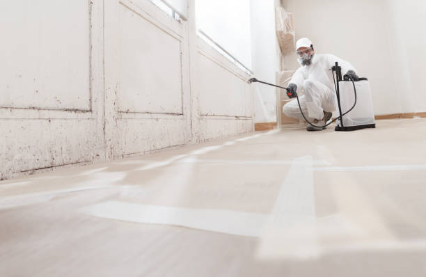 24/7 Emergency Basement Mold Removal experts in Englewood, NJ